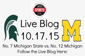 File Michigan State University Logo 16 X 20 Matted