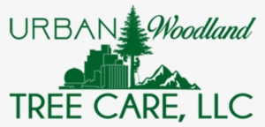 Lunch Napkins Christmas Deer