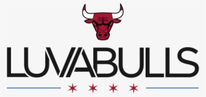 Chicago Bulls Logo Name
