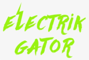 Electrik Gator Electronic - Hector Lives Longmire Shower Curtain