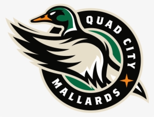 They Have A Cool Logo And And Look, I'm Sure They Are - Quad City Mallards Logo