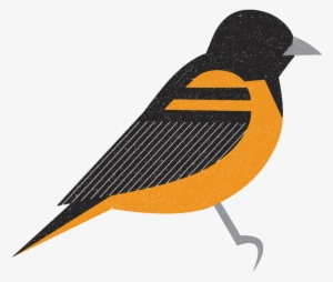 Baltimore Orioles Logo Png