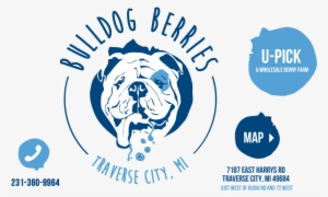 Bulldog Berries U-pick Blueberries Saskatoon Traverse - Berry Farm Logo