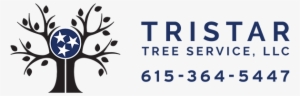 Contact Us Today - Tennessee