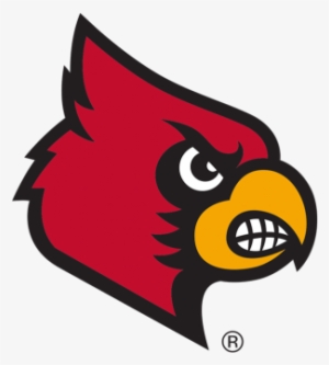 Louisville Cardinals