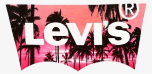 T Shirt Levis Tropical