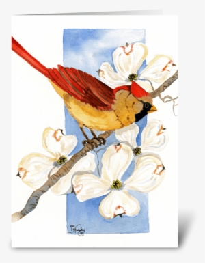 Cardinal With Dogwoods Greeting Card - Painting