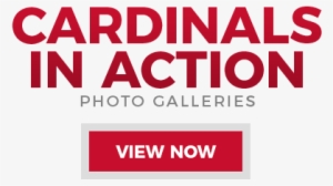 Ian Somerhalder Foundation Logo