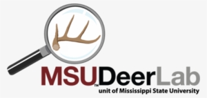 Once - Msu Deer Lab