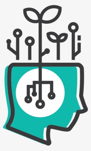 Overview - Louisiana State University