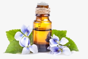 Sign Up Now - Aceites Esenciales Do Terra