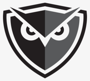 As The Faa's Forerunner In The Night Vision Flight - Design