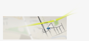 Ogilvie Subaru - Dragonflies And Damseflies