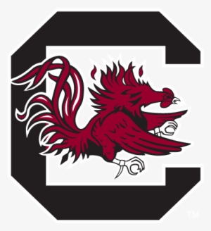 South Carolina Gamecocks