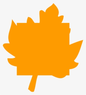 Terms & Conditions - Smiggle