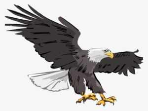 Picture Library Library Bald Eagle Free On Dumielauxepices - Eagle Stamp Hd Png