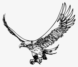 Eagle Transparent Png Clipartu200b - Eagle Clipart