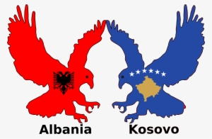 Bald Eagle Bird Silhouette Golden Eagle - Albania Kosova