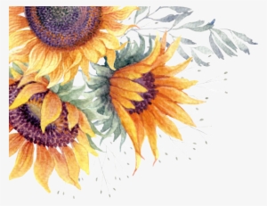 Report Abuse - Transparent Sunflower Watercolor Png