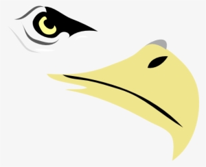 Collection Of Clipart - Eagle Eye Vector Png