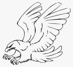 Eagles Clipart Line - Eagle Clipart Black And White