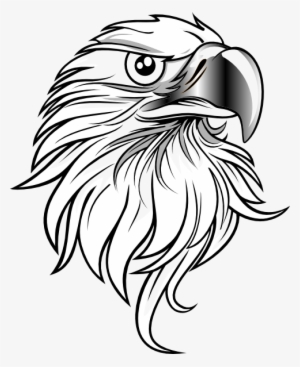 Eagle Svg Clip Arts 486 X 595 Px