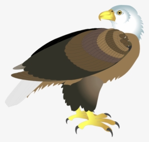 Eagle Clipart Side View - Bold Bald Eagle Mug