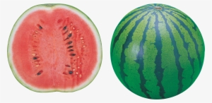 Watermelon Clipart Transparent Background - Watermelon Png No Background