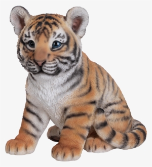 Tiger Cub Baby Triger Photo - Tiger Cub Sitting