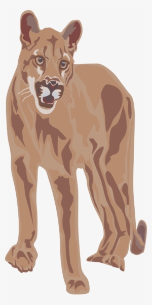 Tiger Clipart Png