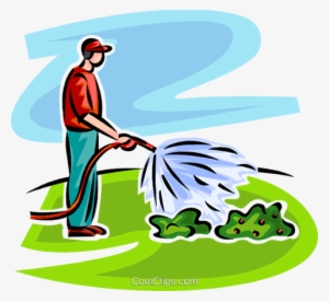 Man Watering Plants - Water The Plants Clipart Png