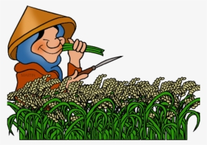 Rice Free On Dumielauxepices - Clipart Rice Plant