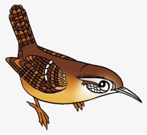 Wren Clipart Florida - Cactus Wren Clip Art