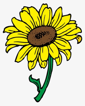 Black, Outline, Yellow, Drawing, Sun, Flower, White - Sunflower Clip Art
