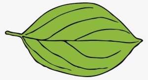 Apple Leaf Template - Leaf Clipart