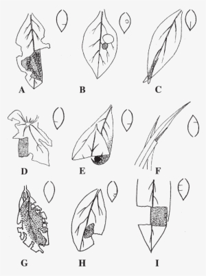 Group Ii, Group I, And Group Iii Shelters - Clamp