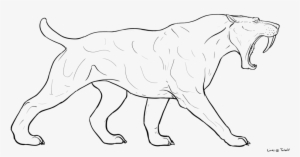 Saber - Saber Tooth Cat Drawing