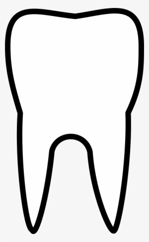 Vector Graphics,free Illustrations - White Tooth Outline Png