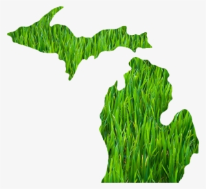 Michigan Outline Grass - State Of Michigan