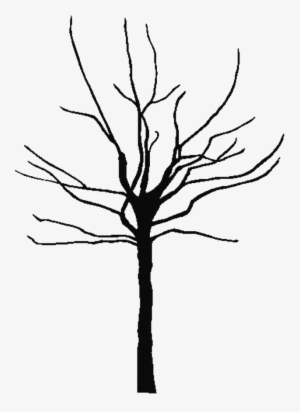 Tree Outline Printable Clipart Best 143849 Free Coloring - Transparent Family Tree Clipart