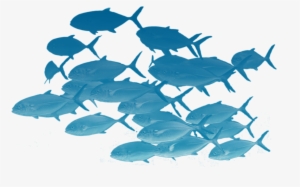 School Of Fishes Png - School Of Fish Transparent