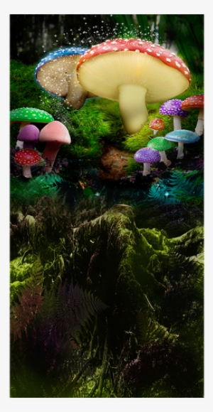 Wonderland With Fairy Dust - Shiitake
