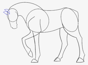 How To Draw A Simple Horse - Draw Simple Horse