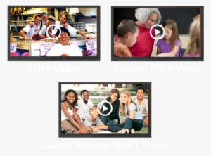 Watch Free Previews Of Fish For Schools Videos - Collage