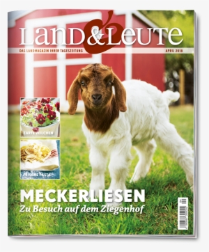 Welchen Tageszeitungen Land & Leute Beiliegt Erfahren - Stock Photography