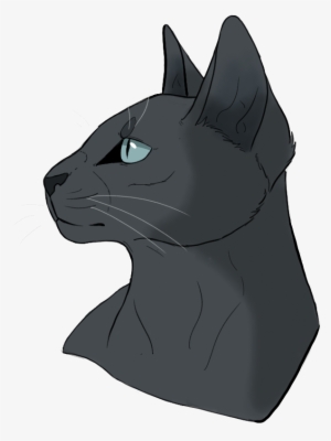 Patte De Silex / Fleur De Sureau Lgdc Nuit Étoilée - Cat Yawns