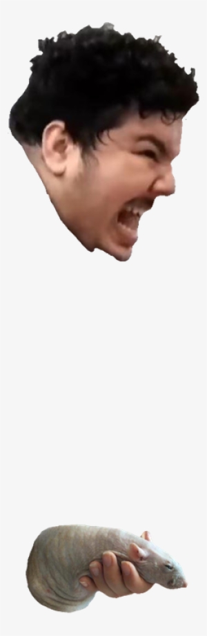 Chin Nose Forehead Neck - I M Squeezing My Hog