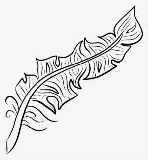 Feather