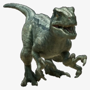 Jurassic World Velociraptor V4 By Sonichedgehog2-da9f2eg - Stegosaurus Jurassic World 2