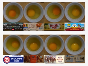 Eggs With Cartons 1